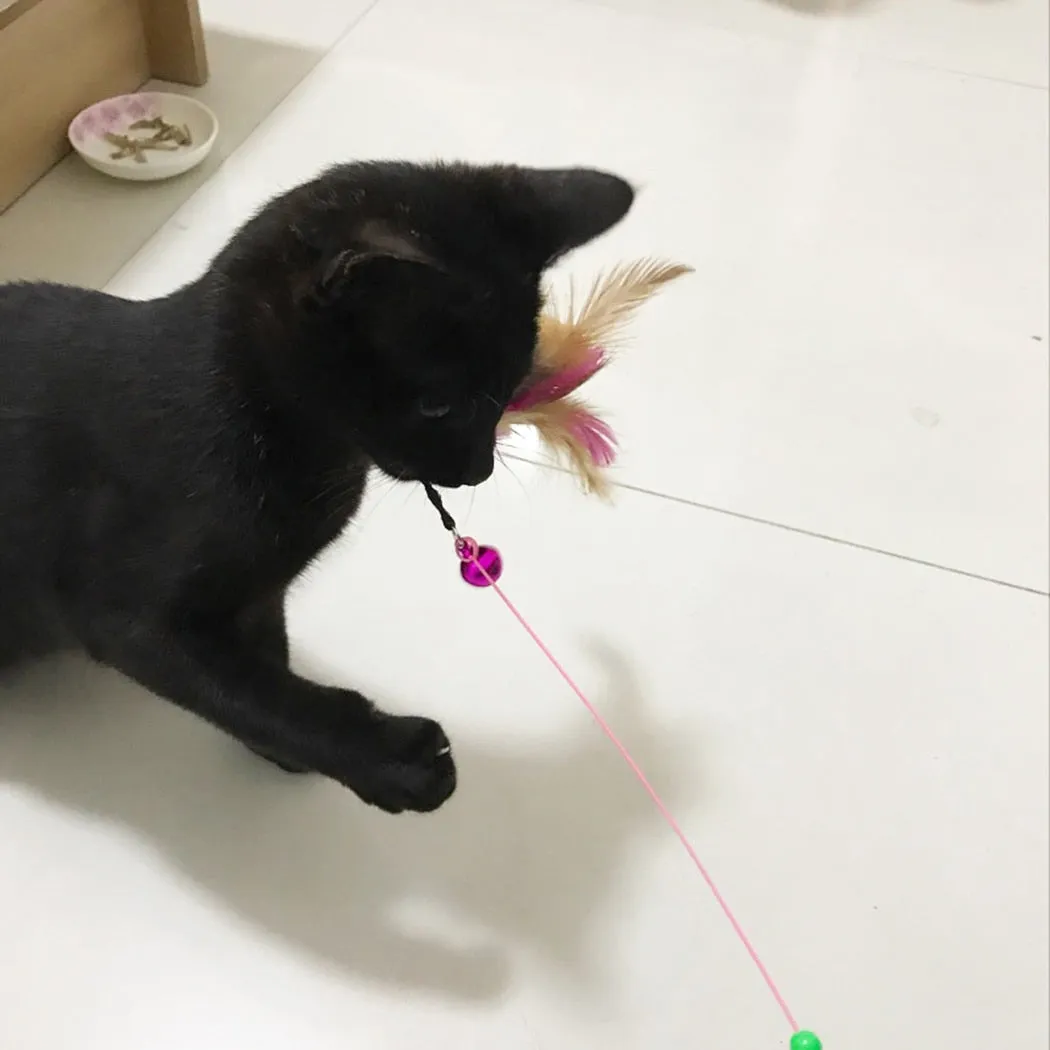 1 piece Cat Toy Stick Feather Wand With Bell Mouse Cage