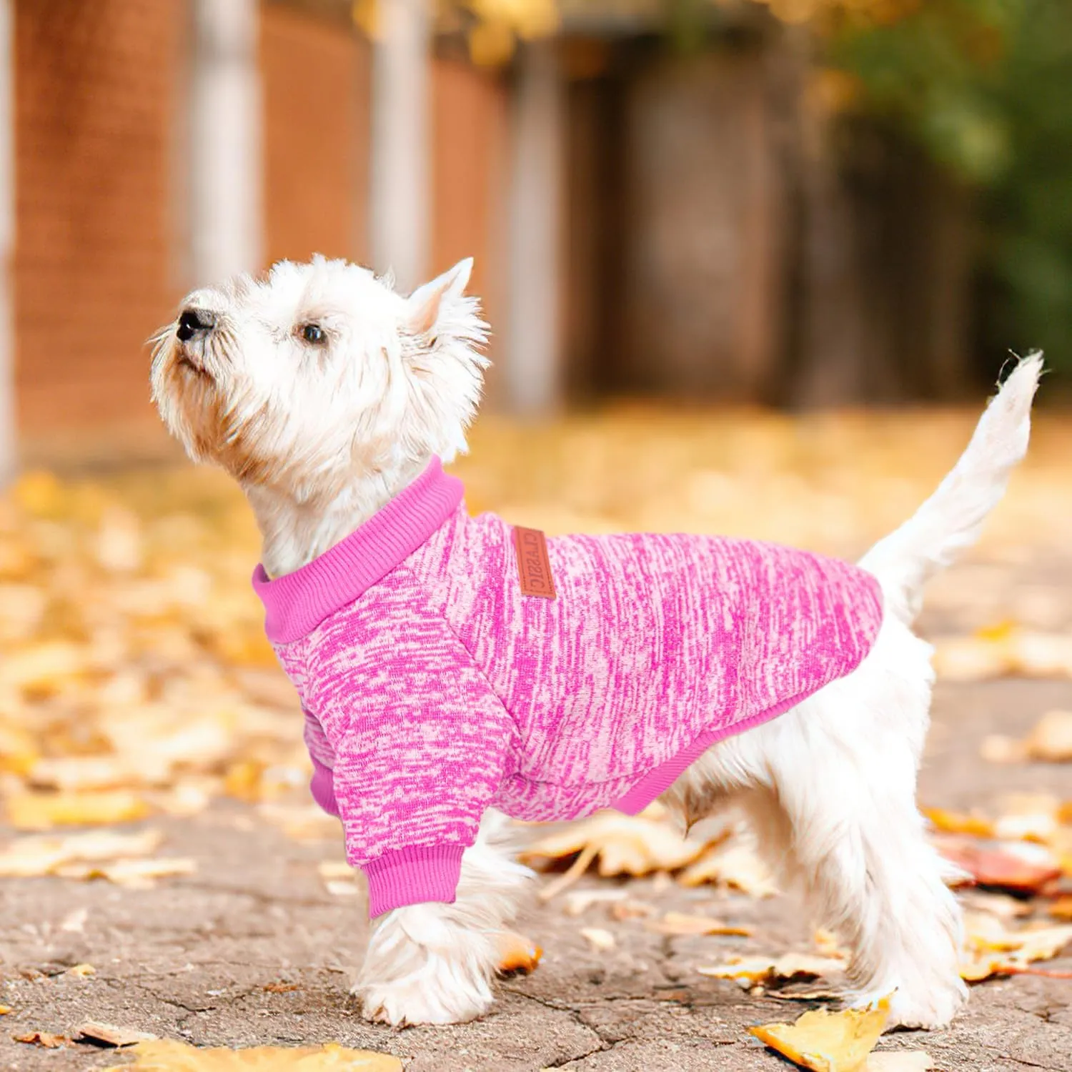 2 Pieces Dog Sweaters for Small Dogs Fall Dog Clothes Female Winter Fleece Puppy Clothes Warm Thick Pet Outfit Coat Yorkie, Chihuahua, Pug, Cat, Pug,S,Pink, Red
