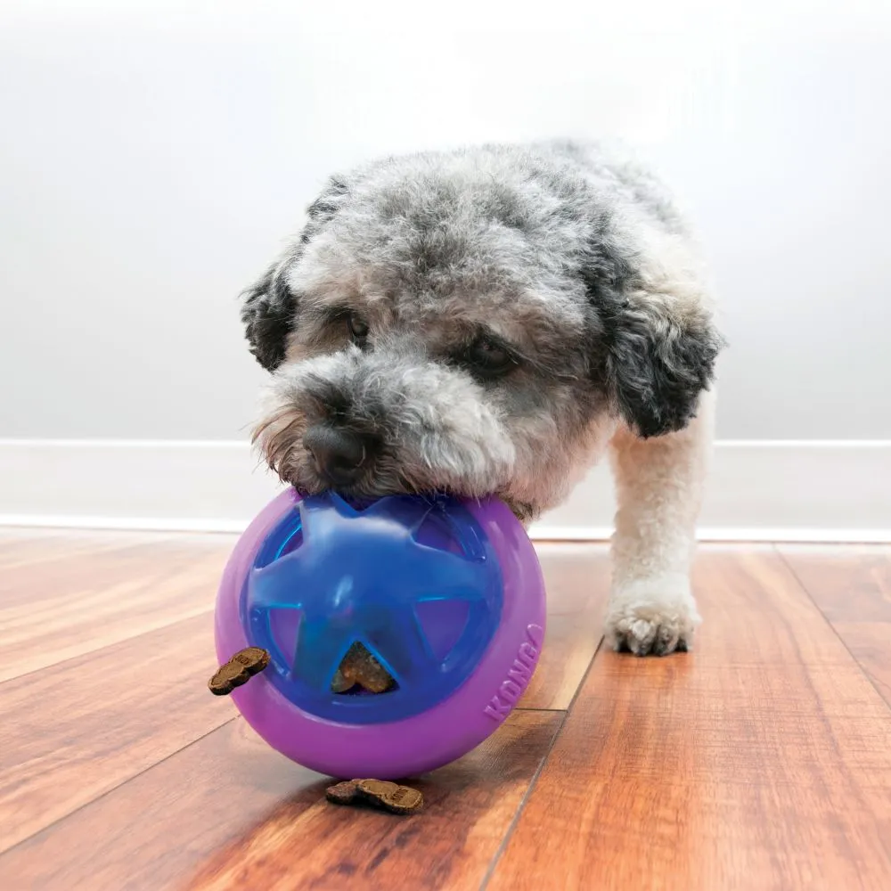 20% OFF: Kong® Hopz Ball Dog Toy