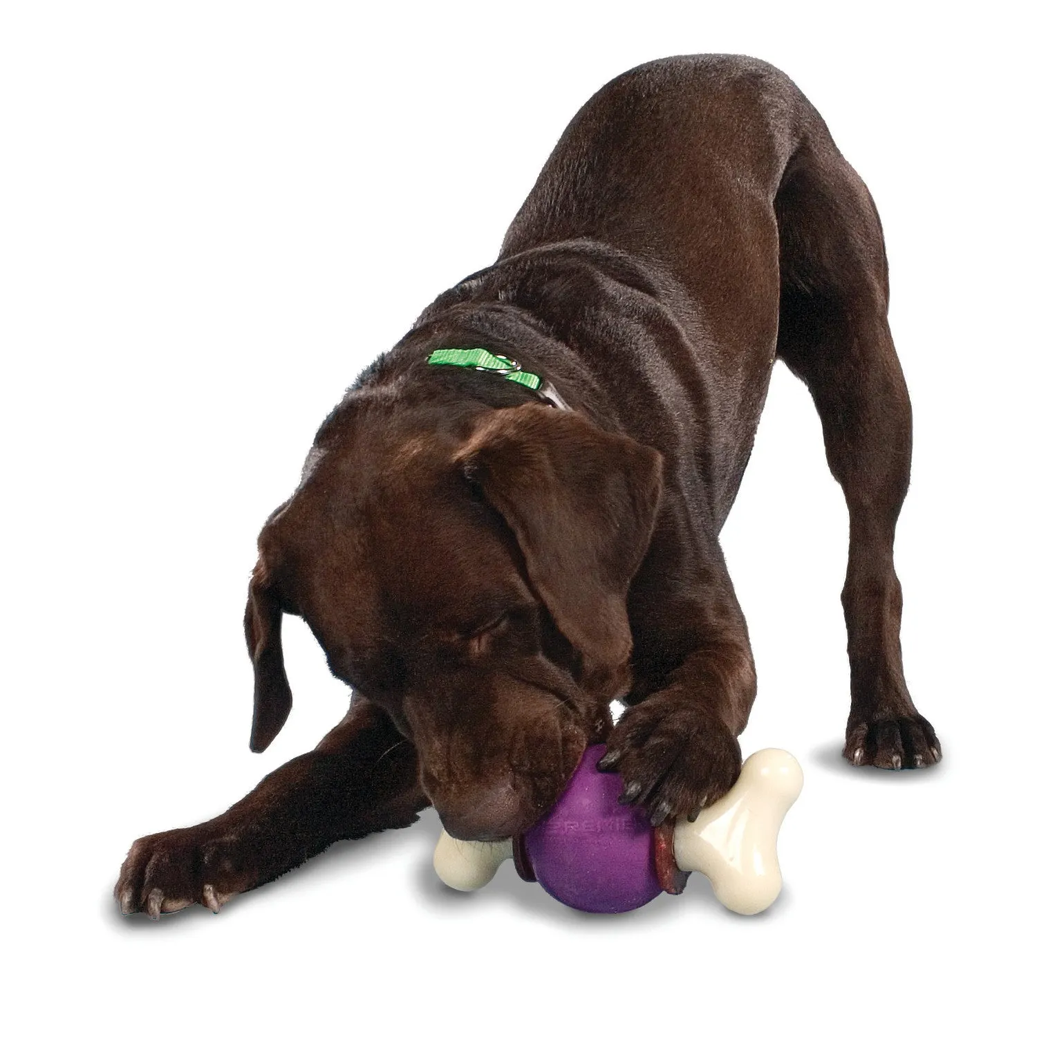 Busy Buddy® Bouncy Bone