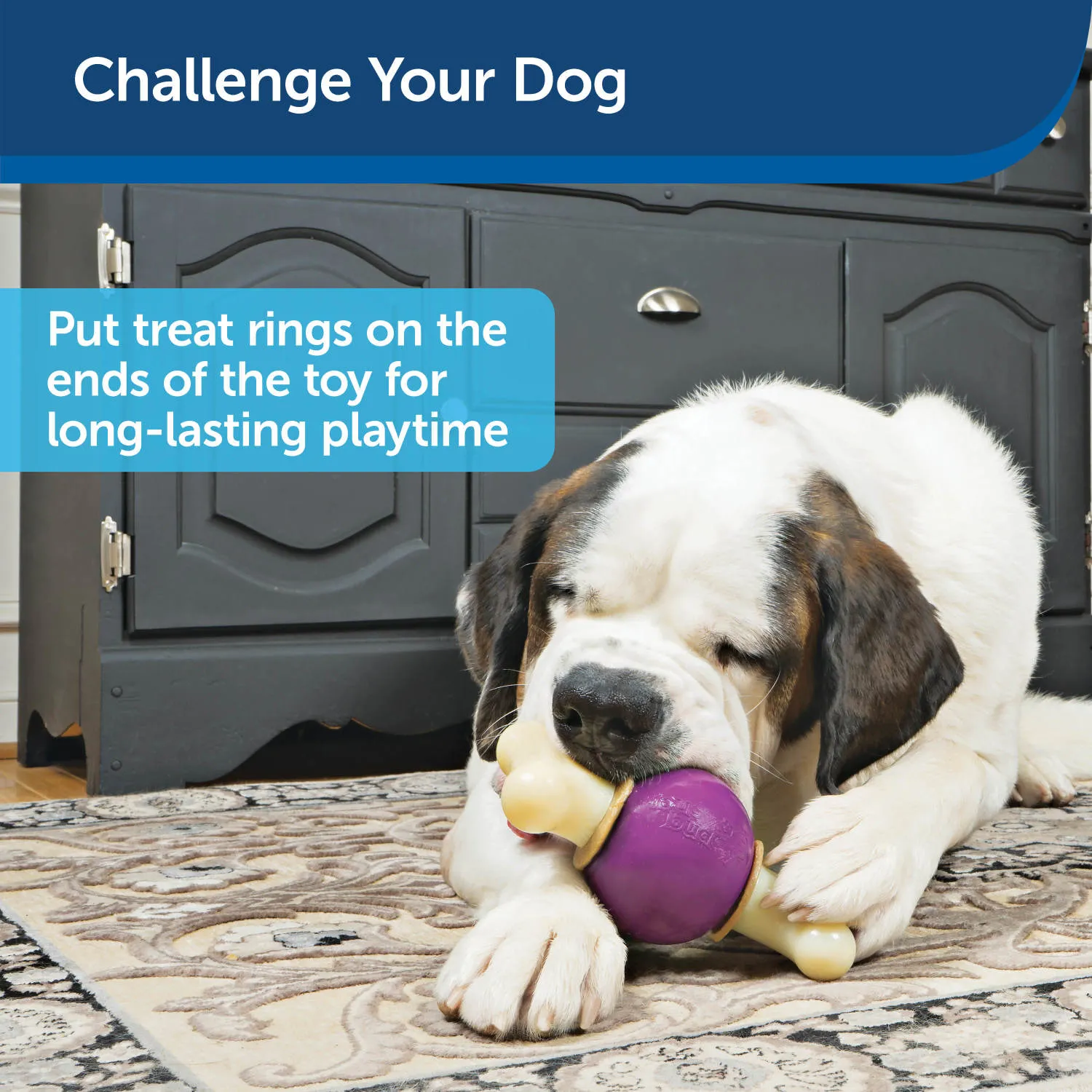 Busy Buddy® Bouncy Bone