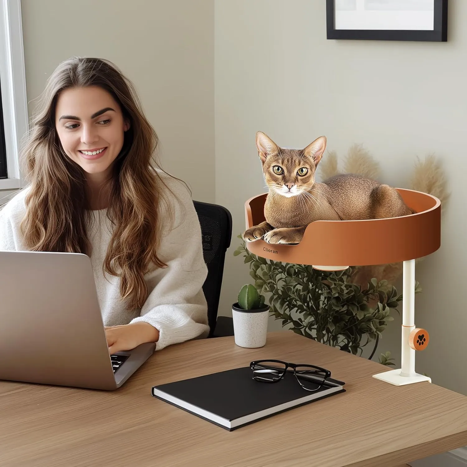 Cat Desk Bed Large Perch Nest with Teaser Easy Install,Space Saving Mount Design,Sturdy Frame,Removable Cushion,Clamp Desktop Attachment Hammock for Home Office,Side Table(White and Coffee)