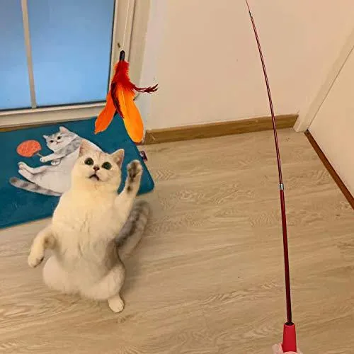Cat Feather Toy, Retractable Cat Toys Wand 2 Wands & 9 Assorted Teaser Refills, Interactive Feather Teaser Wand Toy Bell Kitten Cat Having Fun Exerciser Playing