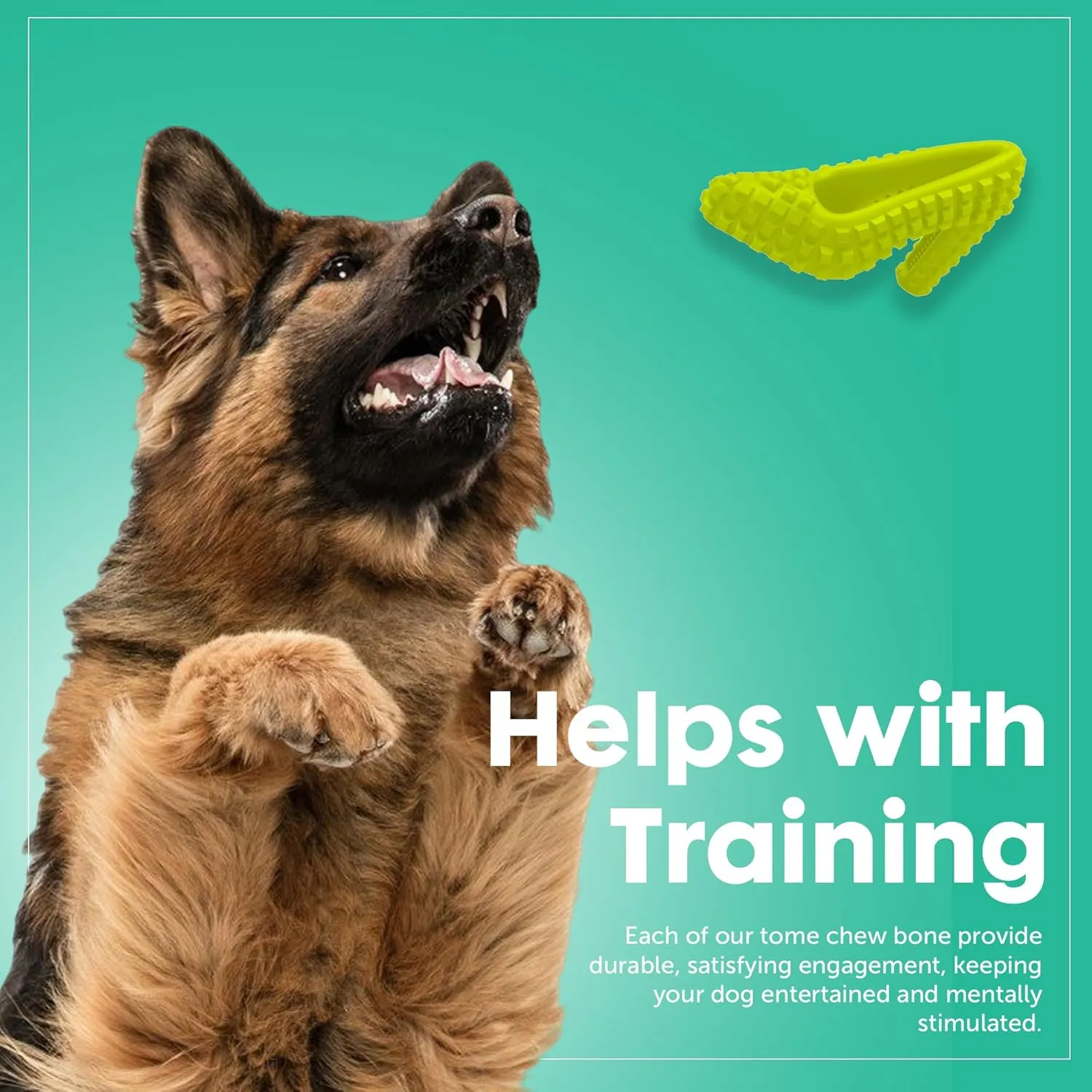 Dog Chew Toys for Aggressive Chewers - Treat Dispensing Chew Shoe Interactive Small Medium Dog Puzzle Toys