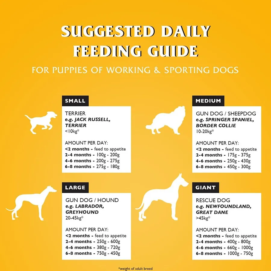 Dr John Working Puppy Dry Dog Food with Chicken 10kg