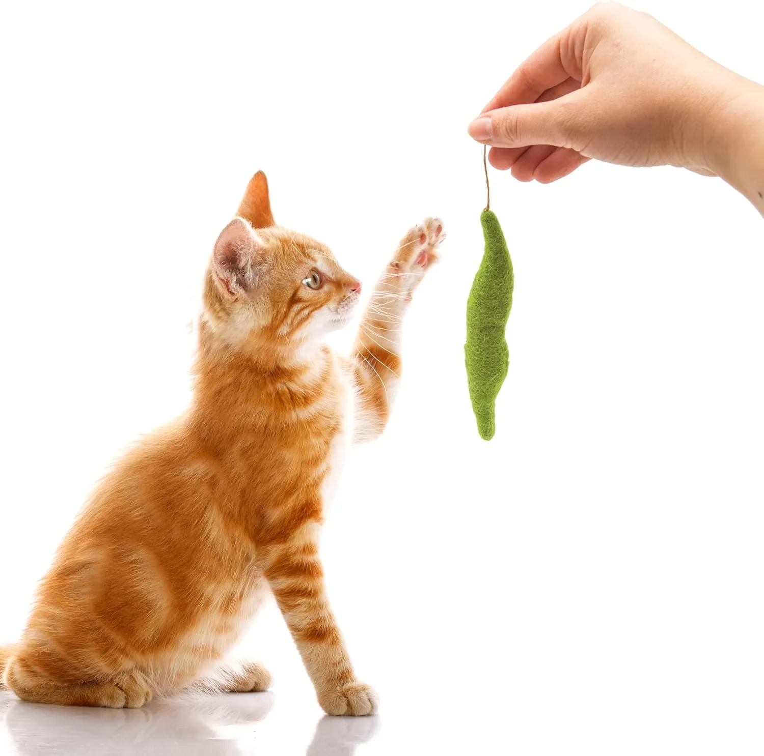 Glaciart One Green Beans Cat Toy  5 Pcs | Soft Fuzzy Enrichment 100% Natural Wool - Interactive Catnip Play Cat Toy Set - Safe for Pets, Non-AZO Colored Dyes