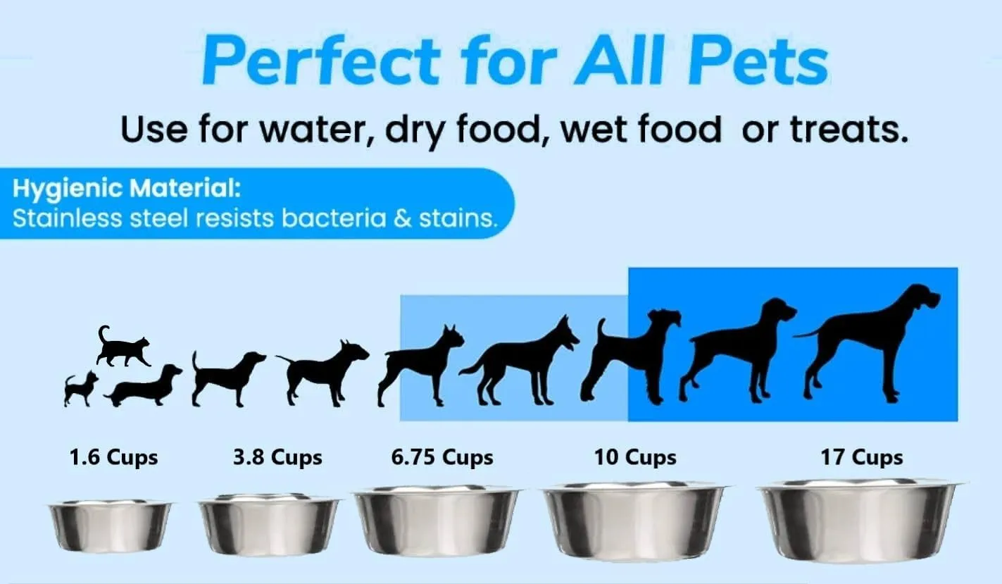 Greendale - 2 Pack - Large (6.75 Cups) - Stainless Steel Metal Dog Bowls - Perfect for Dog Food and Water