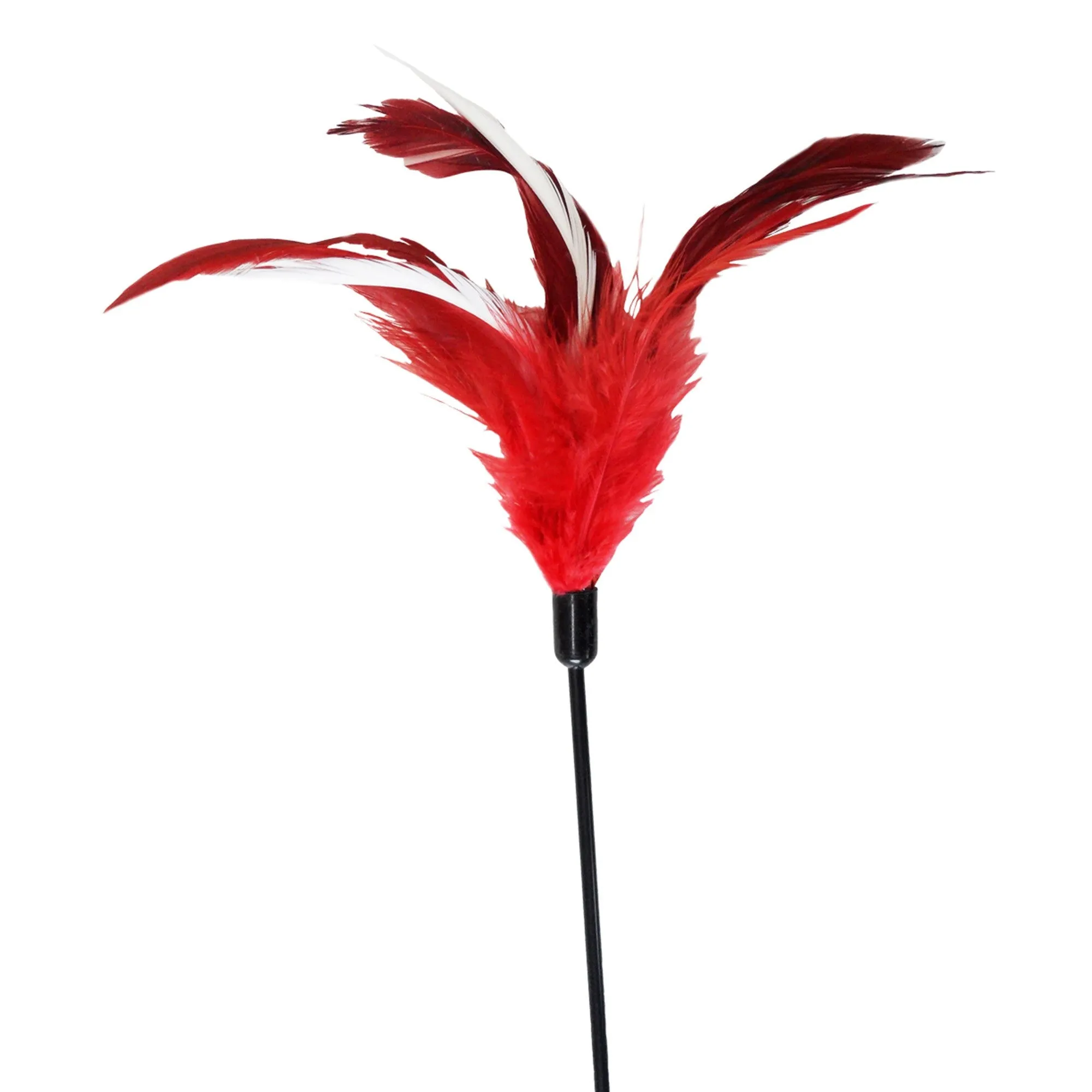 Hemmo & Co Cat Feather Want Cat Toy