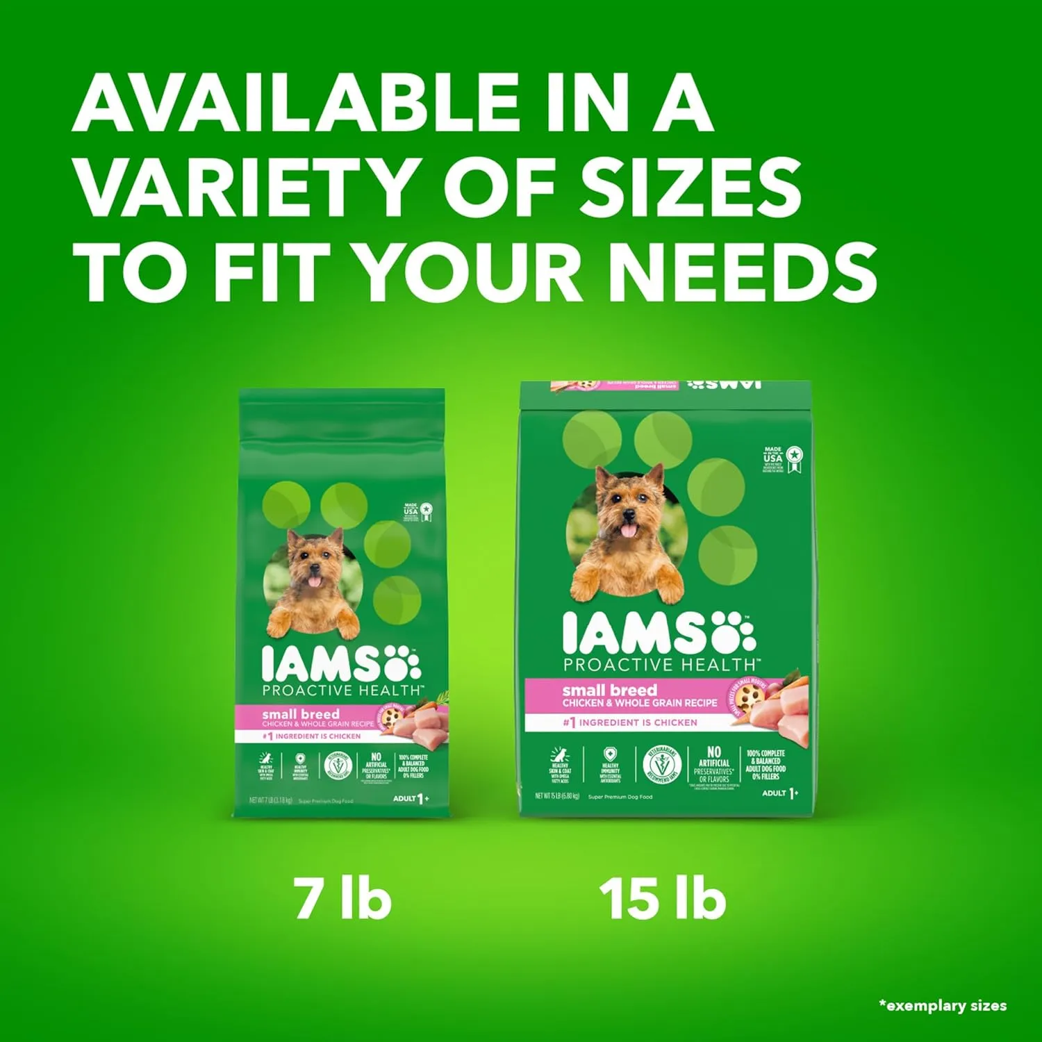 IAMS Proactive Health Small Breed Dog Food Dry with Real Chicken, 15 lb. Bag
