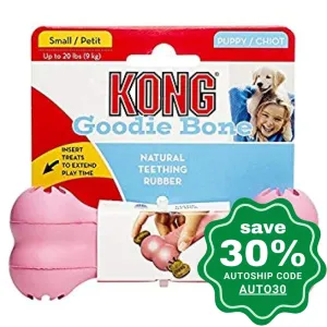 Kong - Puppy Goodie Bone - Small