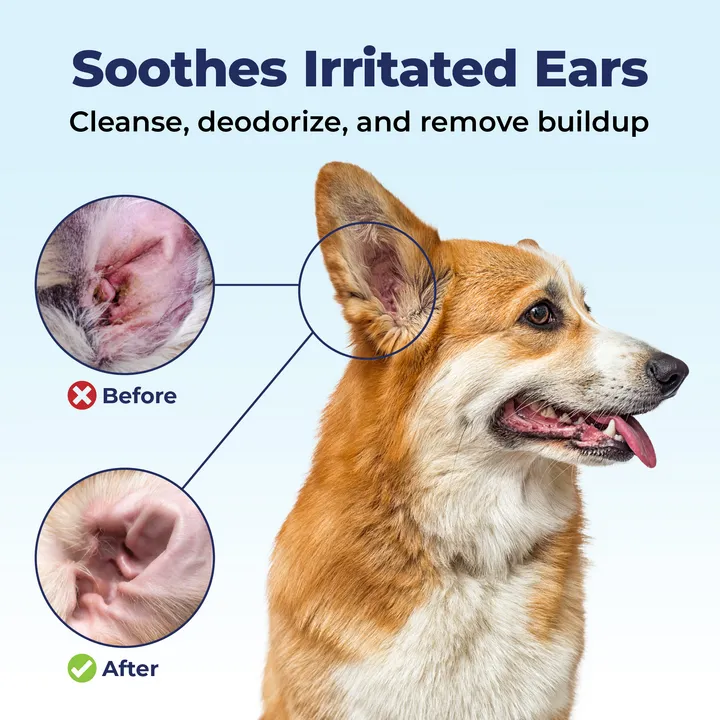 Oticbliss™ Advanced Cleaning Ear Wipes XL - 60 ct