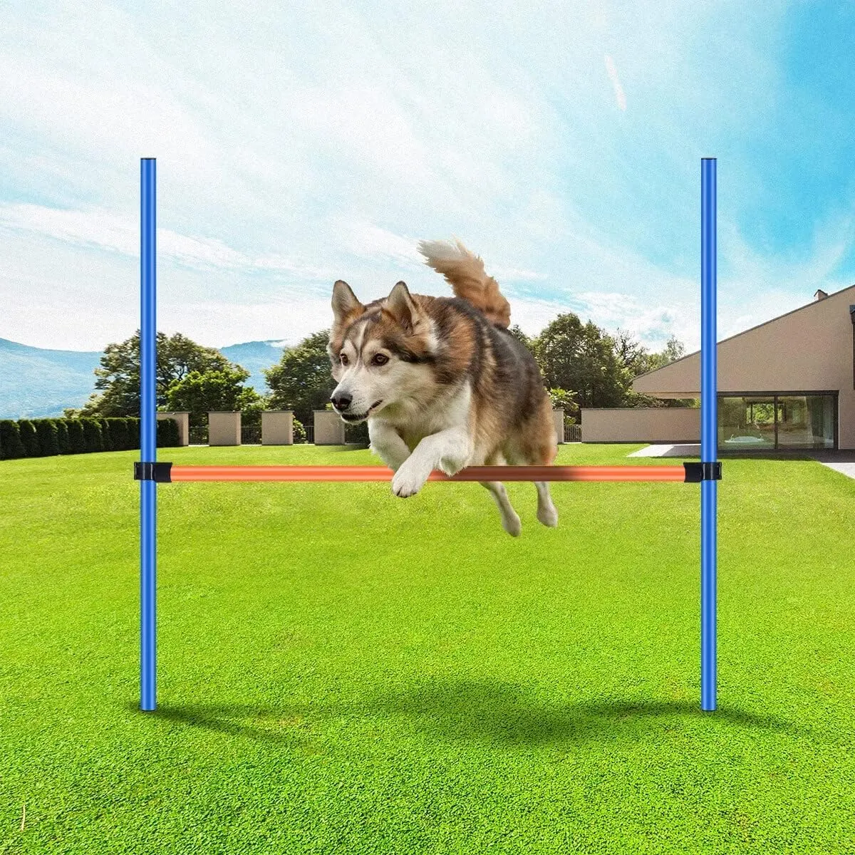 PAWISE Dog Training Exercise Equipment, Dog Agility Training Equipment, Jump Training Hurdles Equipment,Playground Equipment Outdoor