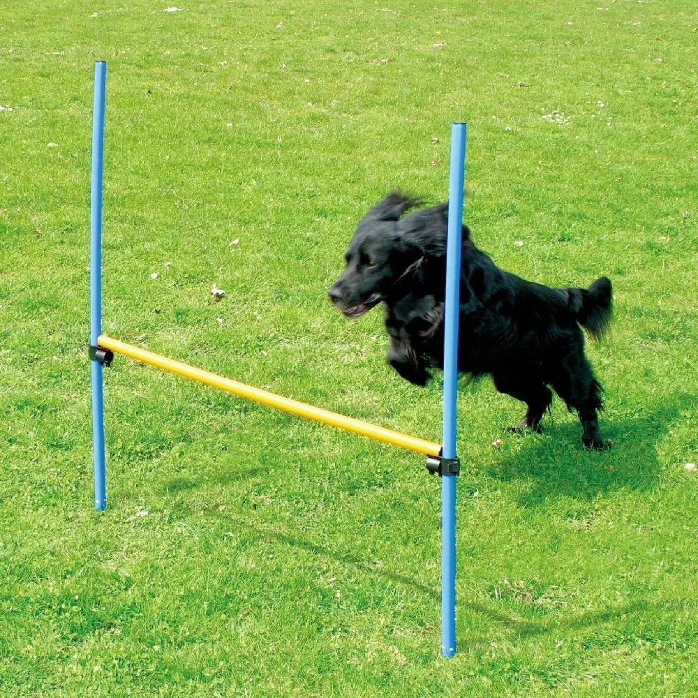PAWISE Dog Training Exercise Equipment, Dog Agility Training Equipment, Jump Training Hurdles Equipment,Playground Equipment Outdoor