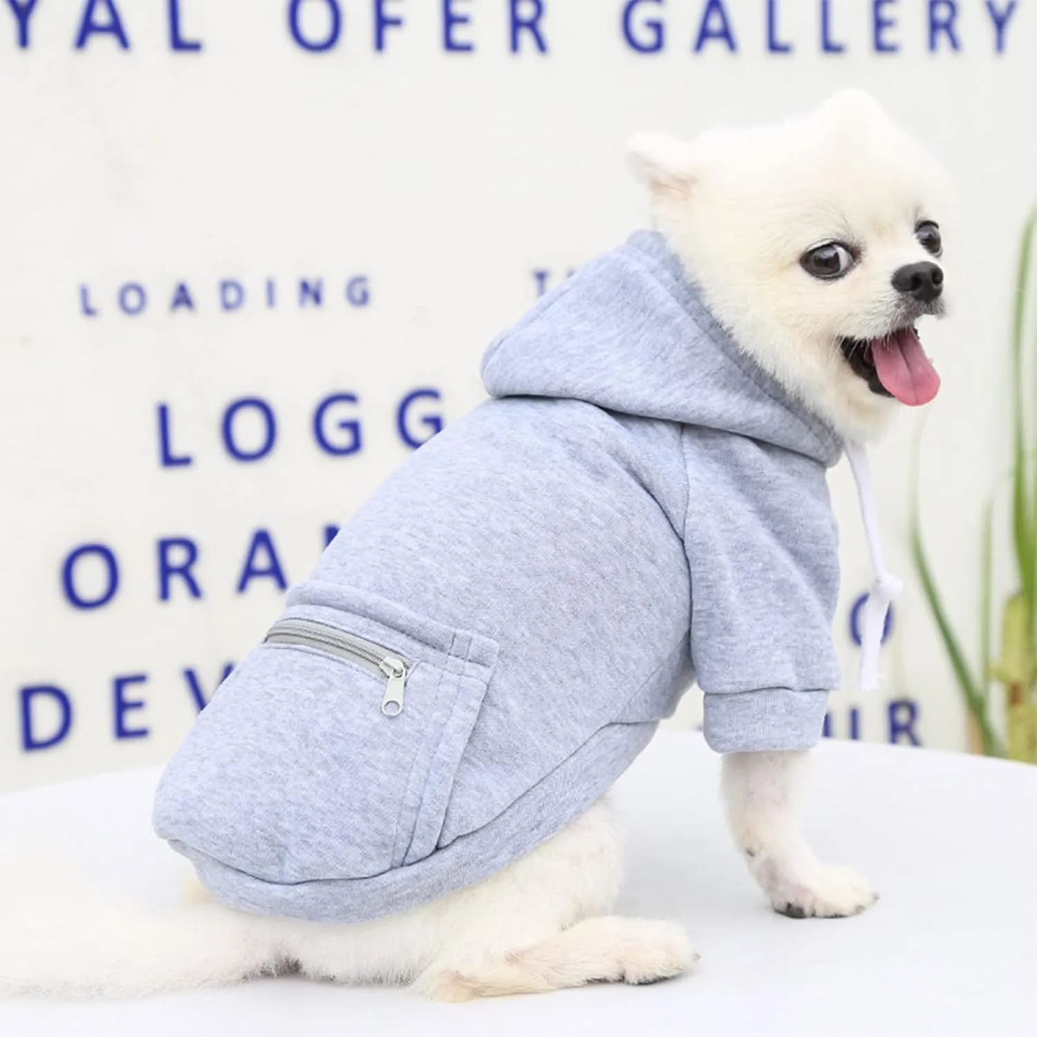 PETCARE Grey Winter Dog Sweater - Soft Fleece Hooded Sweatshirt with Pocket - Small Dog Clothes for Chihuahua, Yorkies, French Bulldog - Cold Weather Coats