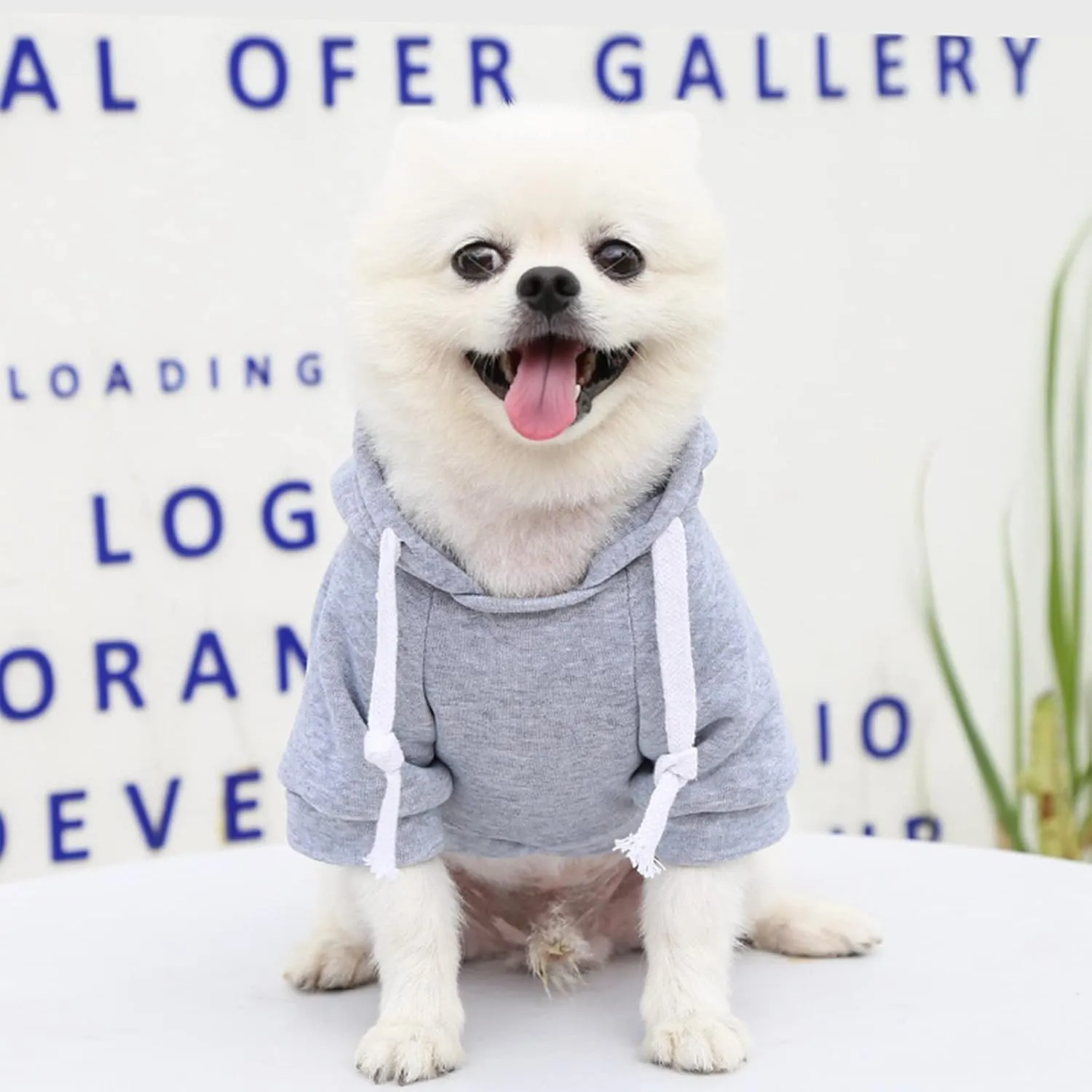 PETCARE Grey Winter Dog Sweater - Soft Fleece Hooded Sweatshirt with Pocket - Small Dog Clothes for Chihuahua, Yorkies, French Bulldog - Cold Weather Coats