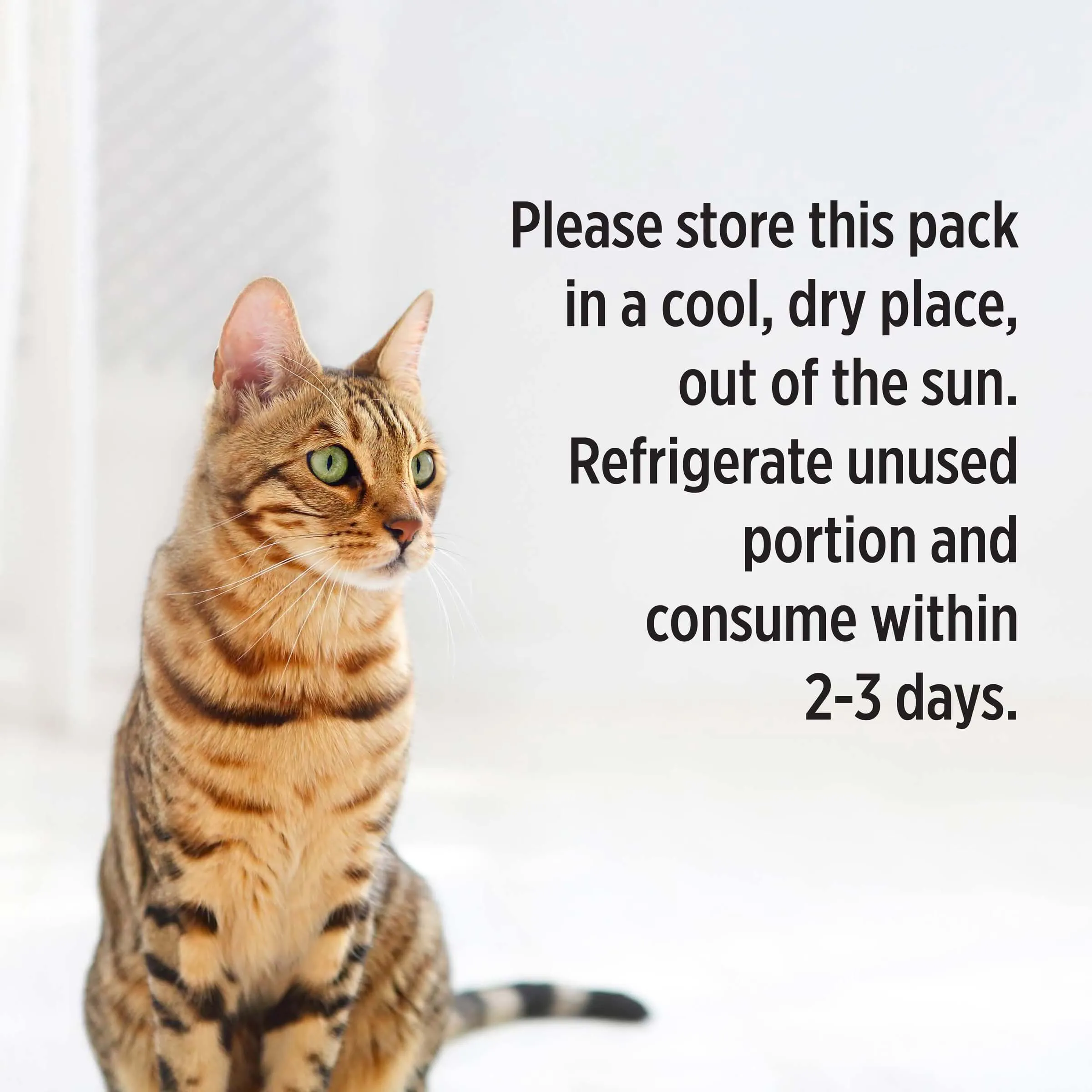 Pro Plan Kitten Salmon Gravy Pouch Wet Cat Food 85g