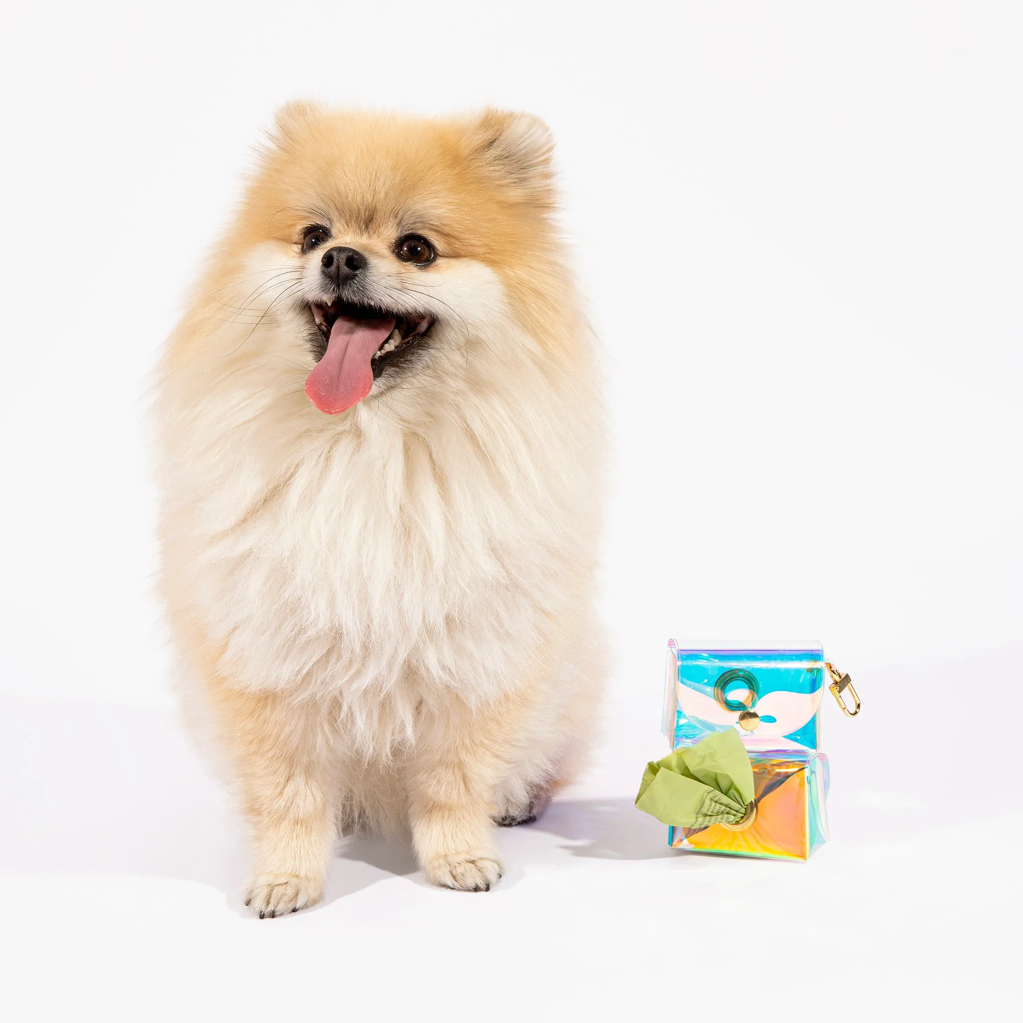 Rainbow Dog Poop Bag Pouch
