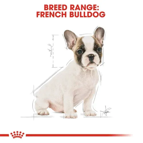 Royal Canin French Bulldog Puppy Dry Pet Food For Dogs