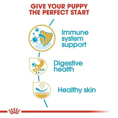 Royal Canin French Bulldog Puppy Dry Pet Food For Dogs