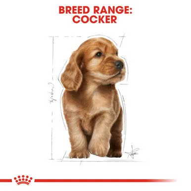 Royal Canin Spaniel Cocker Puppy Dry Dog Food