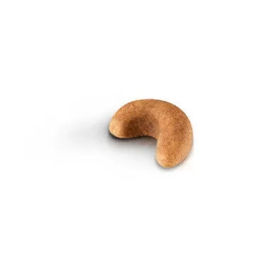 Royal Canin Spaniel Cocker Puppy Dry Dog Food