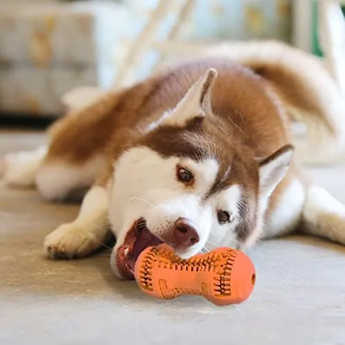 SIMENA Chew Toys for Dog Teeth Cleaning, Teething Toy for Medium Breeds, Dog Toothbrush Toy, Use with Peanut Butter or Toothpaste, Chew Sticks for Dogs (Bone, Orange)