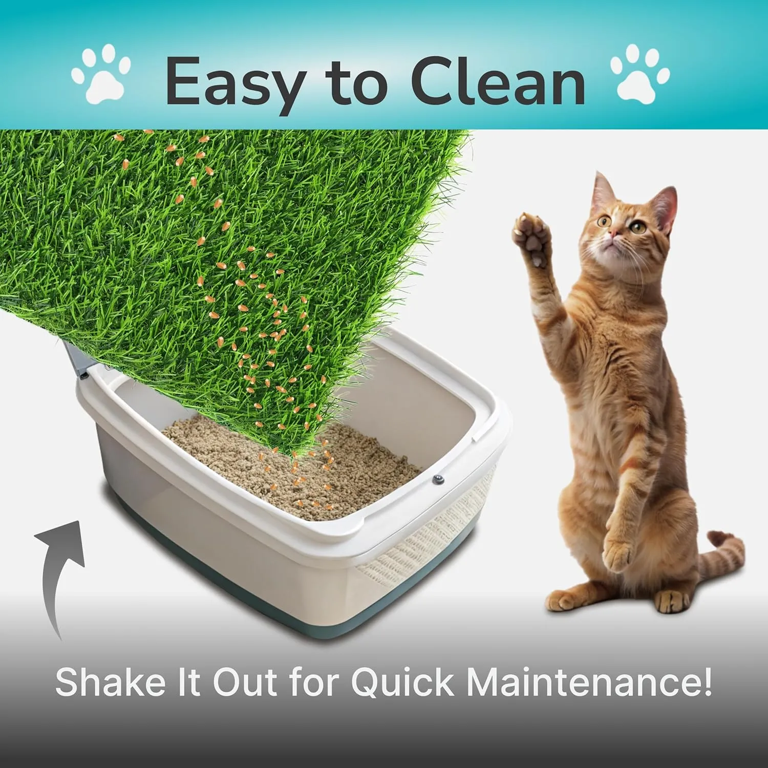 Skywin TidyFriend Cat Litter Box Mat, Cat Litter Rug Catcher, Washable and Lightweight Pet Accessories for Indoor (Grey) (Green, 24 x 17.5 Inches)