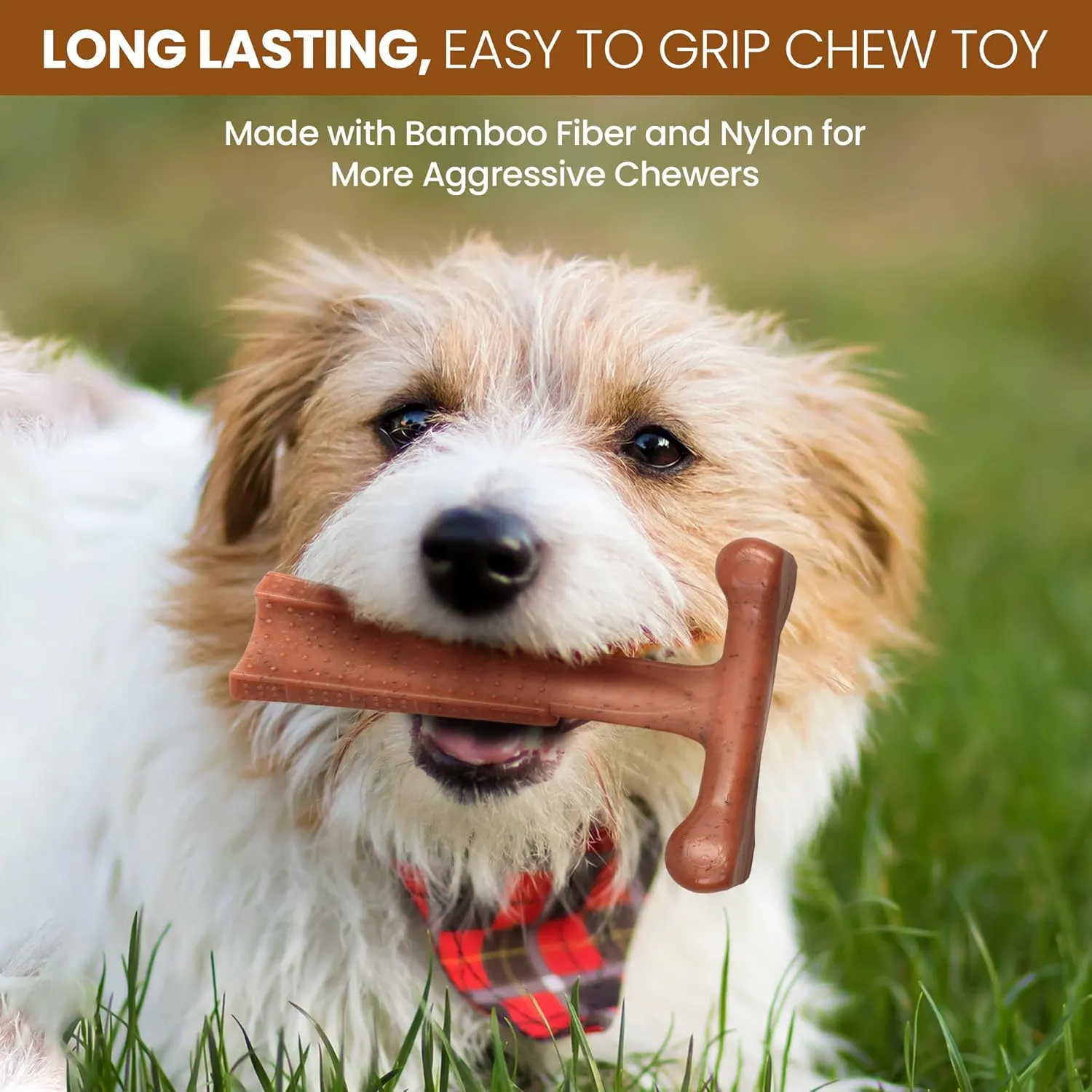 SPOT Bam-Bones Plus T-Bone, Bamboo Fiber & Nylon Dog Chew, Durable for Aggressive Chewers, Non-Splintering, for Adult Dogs & Teething Puppies Under 60lbs, 6in, Beef Flavor