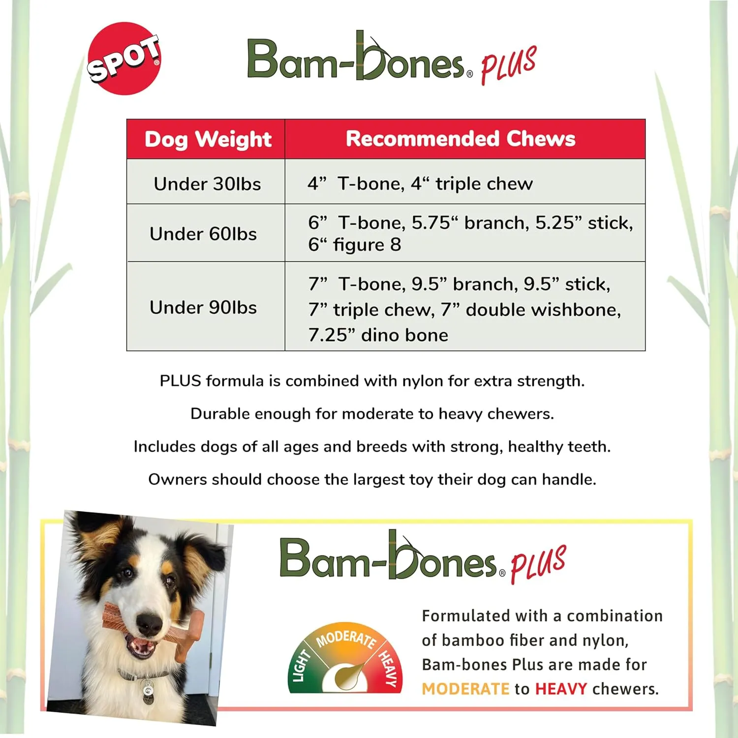 SPOT Bam-Bones Plus T-Bone, Bamboo Fiber & Nylon Dog Chew, Durable for Aggressive Chewers, Non-Splintering, for Adult Dogs & Teething Puppies Under 60lbs, 6in, Beef Flavor