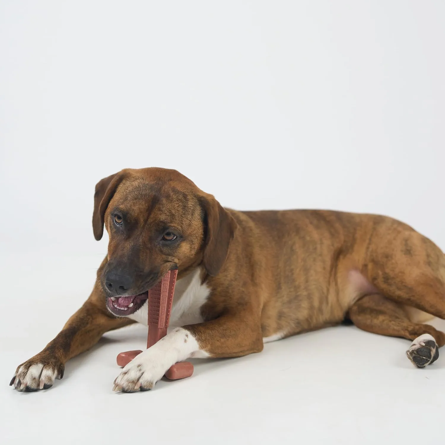 SPOT Bam-Bones Plus T-Bone, Bamboo Fiber & Nylon Dog Chew, Durable for Aggressive Chewers, Non-Splintering, for Adult Dogs & Teething Puppies Under 60lbs, 6in, Beef Flavor