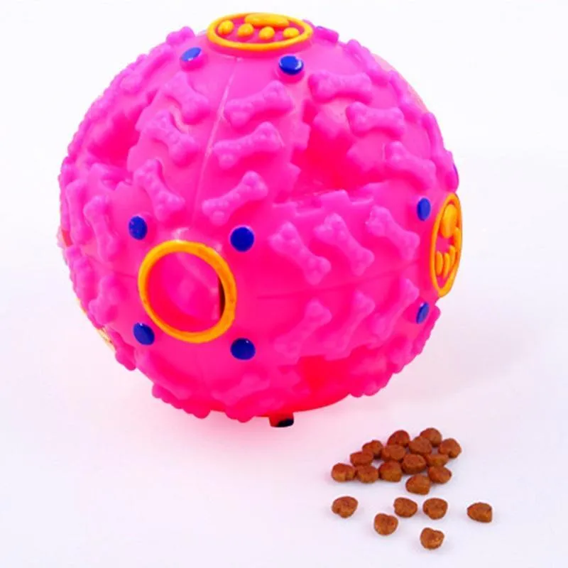Squeaker Puzzle Ball Training Toy for Dogs