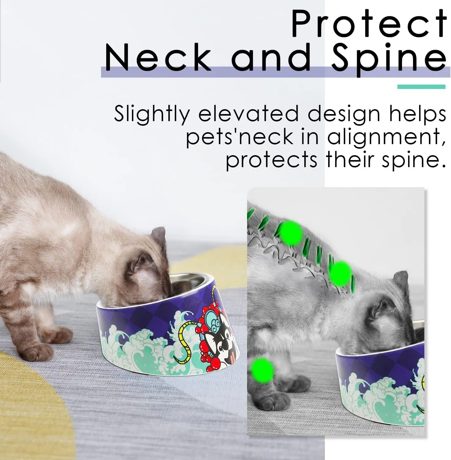 Super Design Mess Free 15 Slanted Bowl for Dogs and Cats, Tilted Angle Bulldog Bowl Pet Feeder, Non-Skid & Non-Spill, Easier to Reach Food