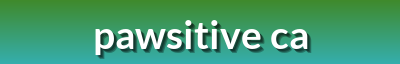 Pawsitive Care | Animal Nutrition, Interactive Toys, Pet Grooming & Waste Management – 40% Off